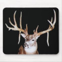 16 Point Buck mousepads by Foster723 16 Point Buck mousepads