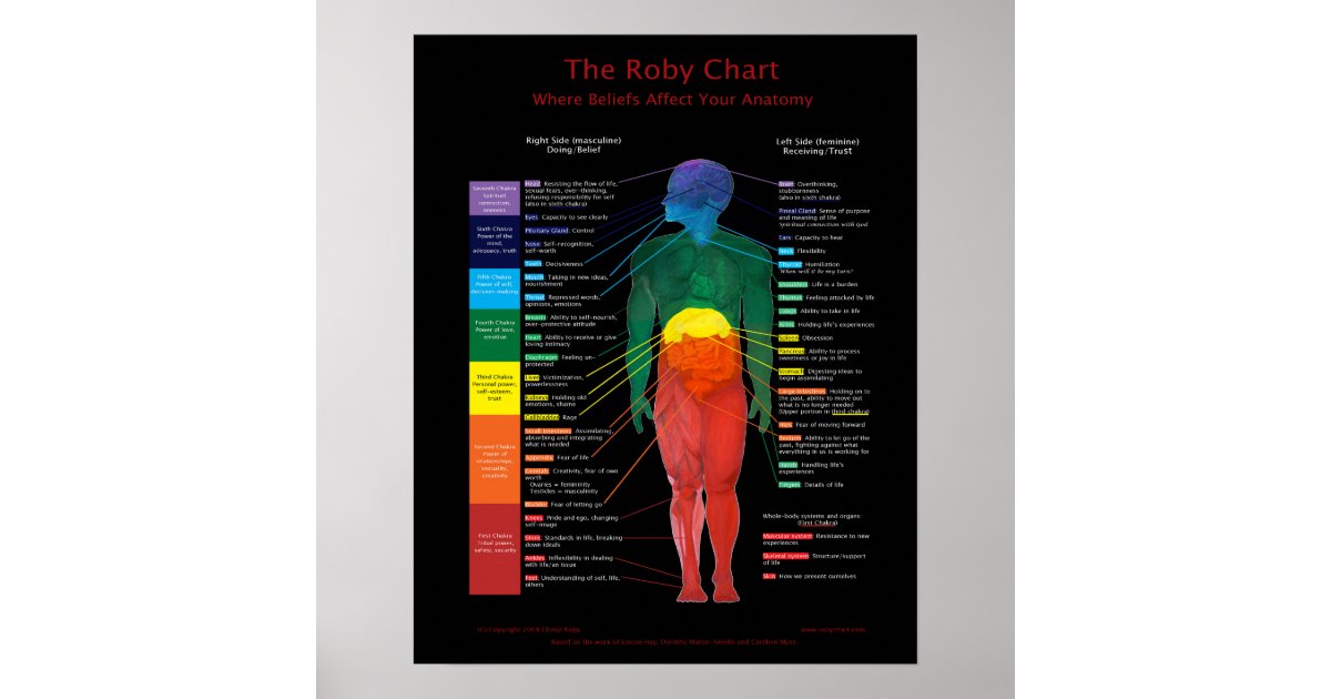 16x20" Roby ChartWhere beliefs affect anatomy Poster Zazzle