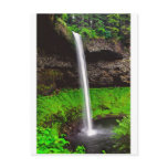 171 Feet Silver Falls OR Postcard