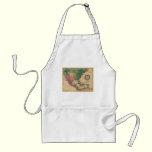 1763 North America Map aprons