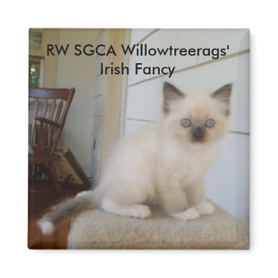 178, RW SGCA Willowtreerags'  Irish Fancy Refrigerator Magnets by KatieMyLadie