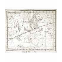 1795 Leo Constellation t-shirts