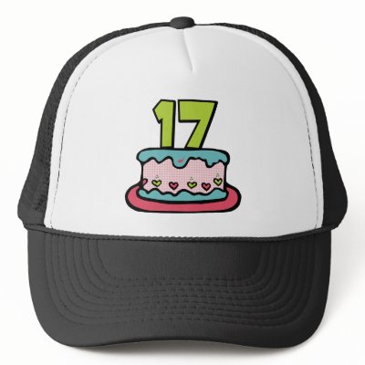 17 Year Old Birthday Cake Hats by Birthday_Bash