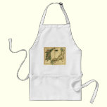 1815 Map of Korea and Japan aprons