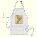 1817 Map of South America aprons