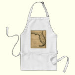 1823 Map of Florida aprons
