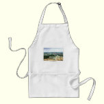 1852 Color Lithograph - View of Washington aprons