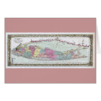 1855 Travellers Map of Long Island cards