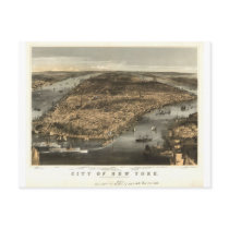 1856 New York City NY Birds Eye View by Currier Post Card