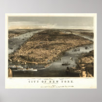 1856 New York City NY Birds Eye View Panoramic Map Print
