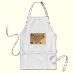 1861 North Carolina and South Carolina Map aprons