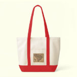 1865 South Carolina Map bags