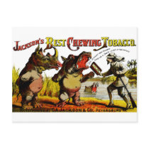 1871 Vintage Chewing Tobacco Ad Postcards