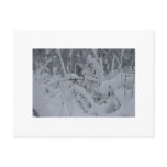 18765_109732959037417_100000021413034_248272_22248 POSTCARDS