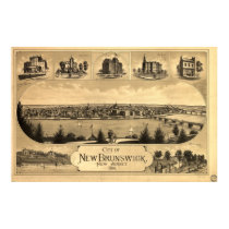1880 New Brunswick NJ Birds Eye View Panoramic Map posters