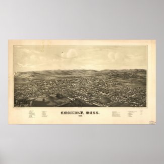 1886 Amherst, MA Birds Eye View Panoramic Map print