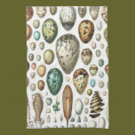 1897 ANIMAL EGGS from Meyers Konversations-Lexikon kitchen towels