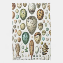 1897 ANIMAL EGGS from Meyers Konversations-Lexikon Towel