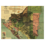 1898 Official Map of Nicaragua Custom Flyer