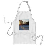 18 February 2010 aprons