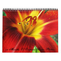 18 Month Calendar Of Original Flower Photos...