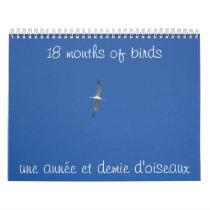 18 Months of Birds calendars