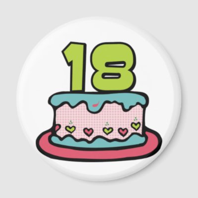 18 Year Old Birthday Cake magnets