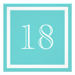 18th Birthday Party Invitation - Aqua invitations