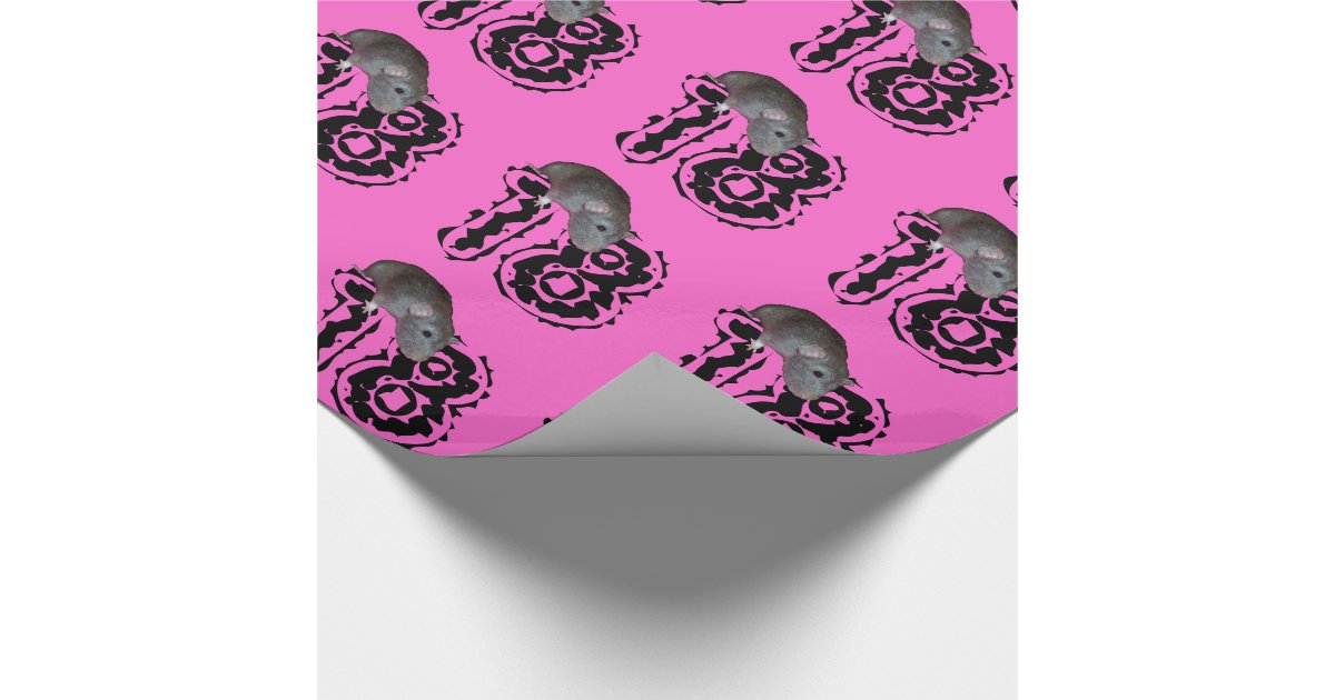 18th-birthday-wrapping-paper-zazzle