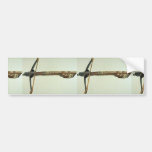 18th century cross-bow, Malbork, Poland Bumper Sticker