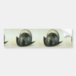 18th century helmet, Malbork, Poland Bumper Sticker