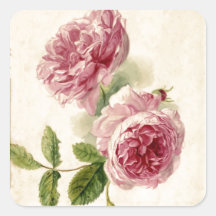18th Century Pink Rose Study Square Stickers