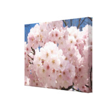 18x24 Tree Flower Blossoms Canvas Prints