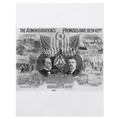 1900 Mckinley - Roosevelt Personalized Flyer by JustProducts