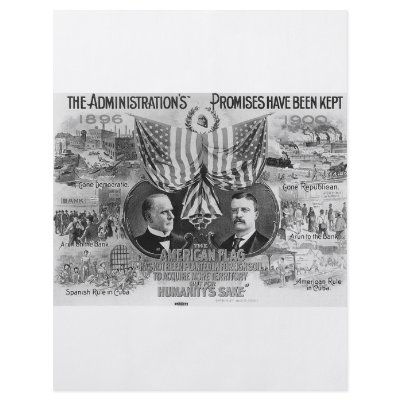 1900 Mckinley -Teddy Roosevelt Flyer Design by JustProducts