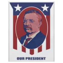 1900 Roosevelt flyers