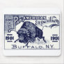 1901 Pan-American Expo Mousepads