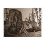 1903 Vintage Lumberjacks Magic Lantern Slide postcards