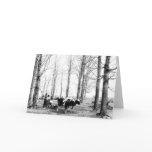 1904 Maple Sugar Camp Vermont Greeting Card