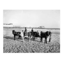 1906 Atlantic City New Jersey Ponie Rides Postcard