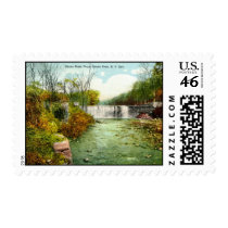1908 Bronx River Falls, Bronx Park, New York City Stamp