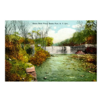 1908 Bronx River Falls, Bronx Park, New York City posters