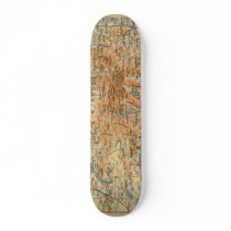 1909 Adirondacks Map from Baedeker's Travel Guide Skate Board Deck