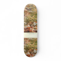 1910 Aerial View Map - Yellowstone National Park skateboards