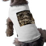 1910 Penn Station NYC Magic Lantern Slide Sepia pet clothing
