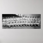 1910's Era Washington Senators Baseball Team Photo posters
