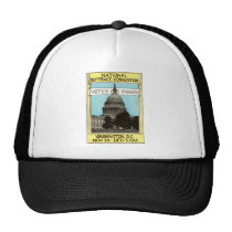 1913 Votes for Women hats