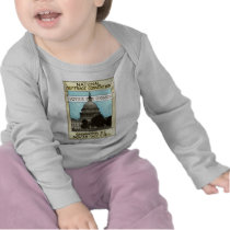1913 Votes for Women t-shirts