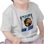 1913 Womans Right to Vote Tee Shirt
