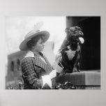 1915 Dog Show Posters